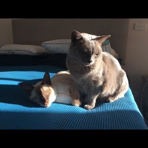 Meet your Posher, Jackie